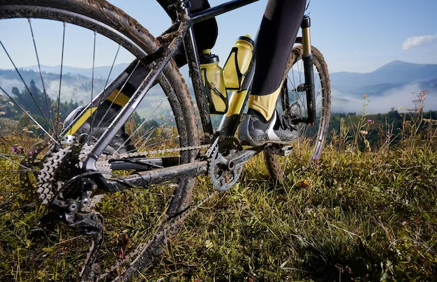 The Ultimate Guide to Dual Suspension Mountain Bikes