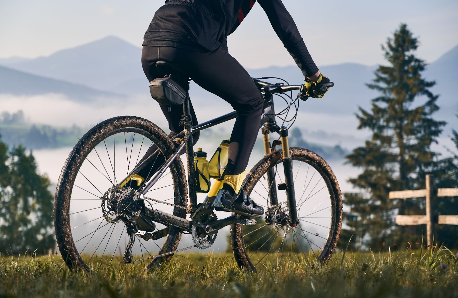 Discovering the World of Bike Weight Optimization